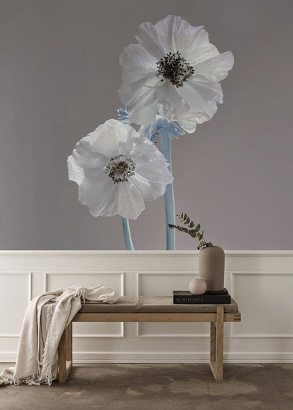 two poppies wall mural living room decoration