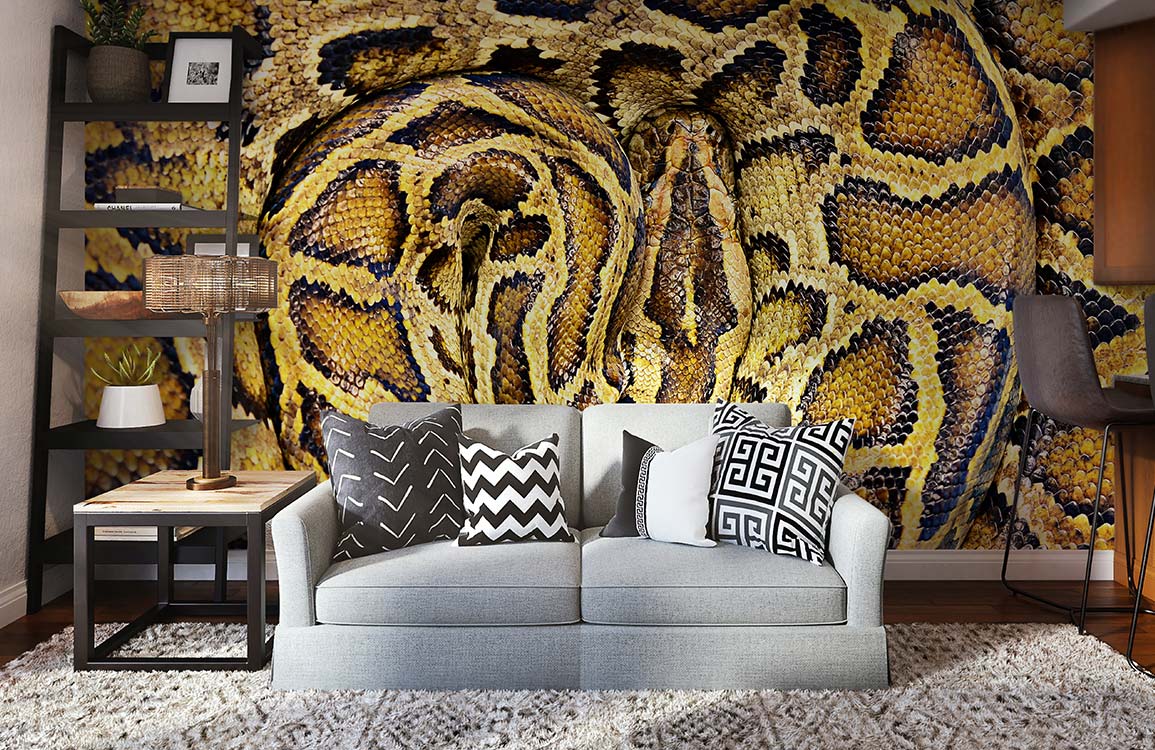 Python animal wall painting with 3d visual effect and wallpaper.