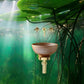 Wallpaper mural featuring an underwater scene of a pond, ideal for use as bathroom decor.