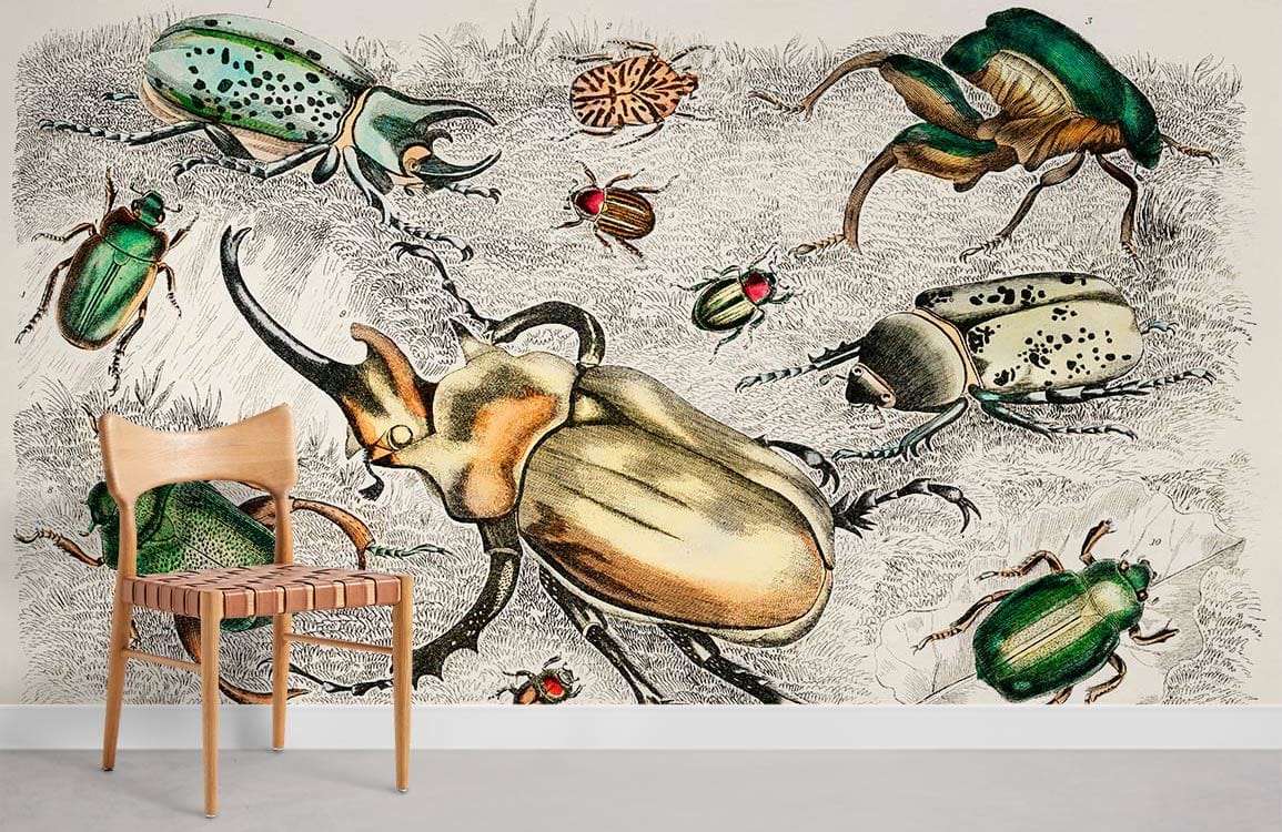 Beetles Game Insects Wallpaper Mural Room