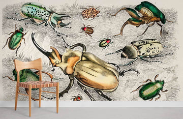 Vintage Insect Illustration Mural Wallpaper