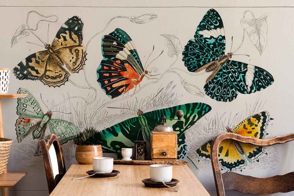 Beautiful Butterflies Pattern Wall Mural Dining Room