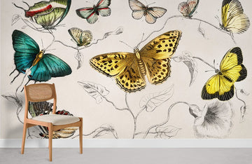 Vintage Butterfly Illustration Mural Wallpaper
