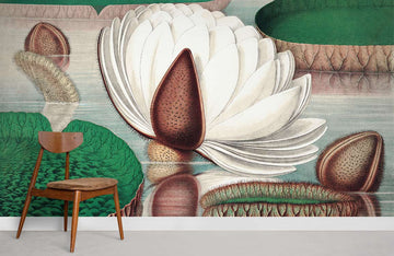 Botanical Water Lily Nature Mural Wallpaper