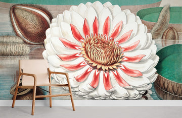 Artistic Floral Botanical Illustration Mural Wallpaper
