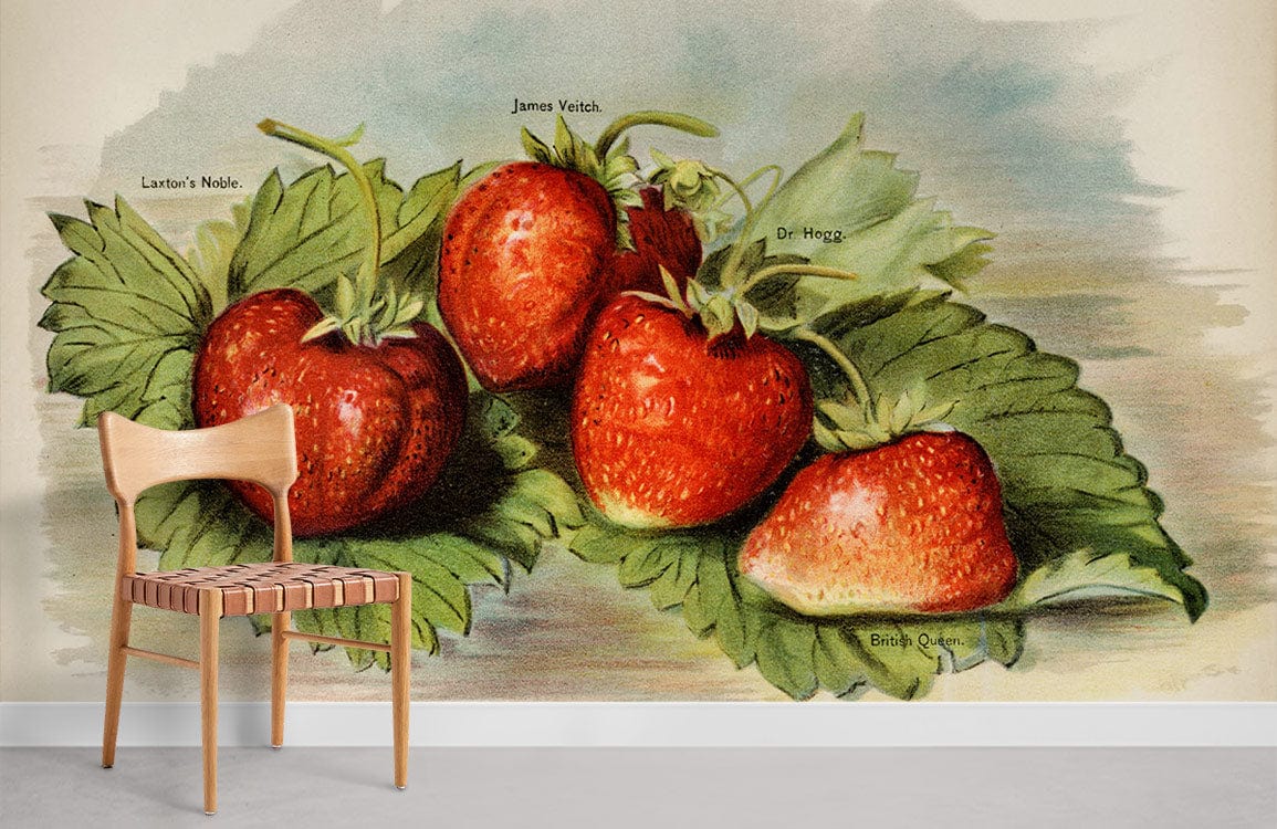 Vintage Strawberry Fruit Mural For Room