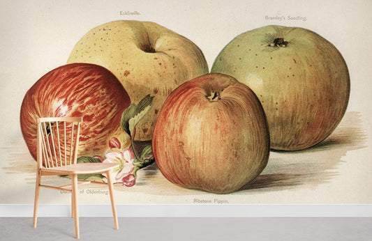 Vintage Apples Fruit Murals For Room