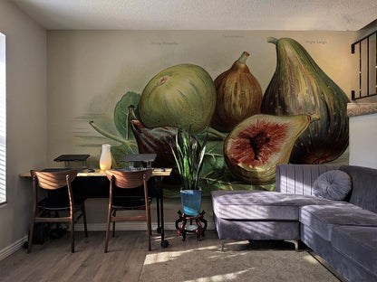 Vintage Fig Fruit Wallpaper Art Design