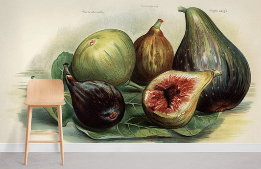 Vintage Fig Fruit Mural Wallpaper Room