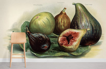 Vintage Fig Fruit Mural Wallpaper Room