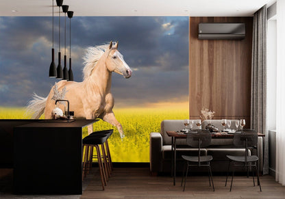 Majestic Horse Yellow Field Mural Wallpaper in dining room