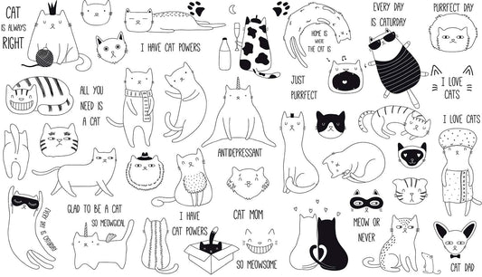 sketched cats animal wallpaper mural for room design