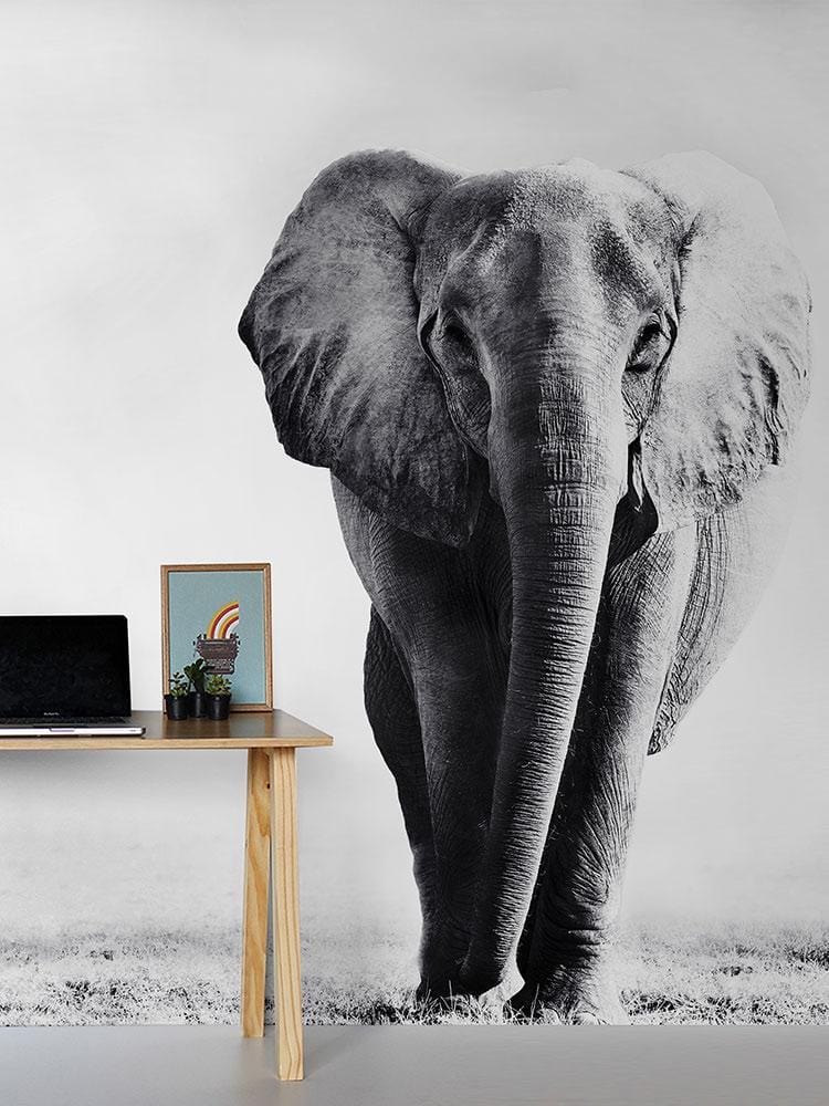 Wild Elephants animal wallpaper decoration idea