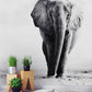 Wild Elephant animal wall mural custom deisgn 