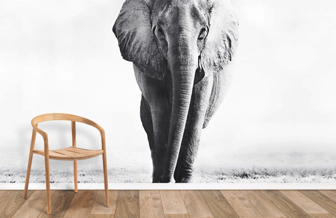 Wild Elephant animal wallpaper mural for room