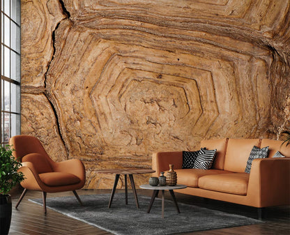 Natural Brown Wood Grain Mural Wallpaper