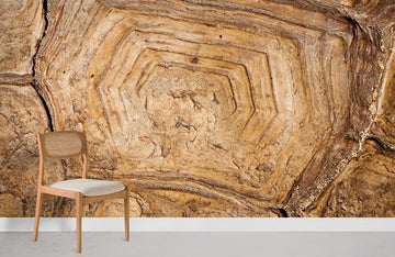 Rustic Brown Wood Grain Mural Wallpaper