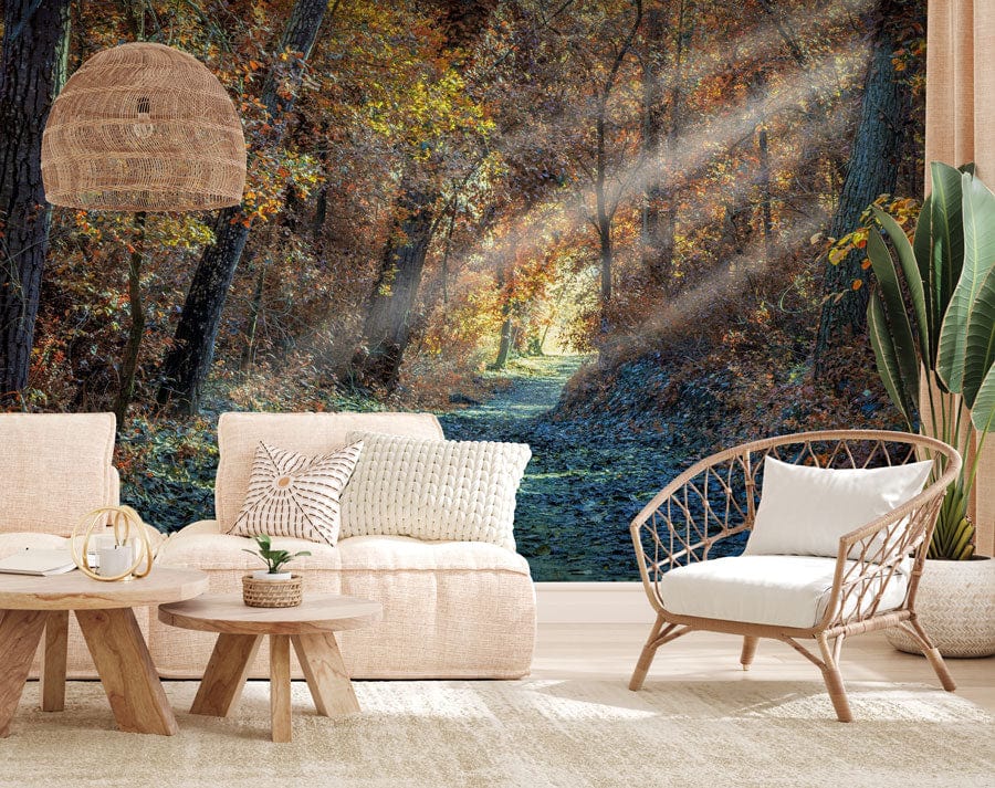 Scenery Wallpaper Mural of Woods in Winter Morning Perfect for Decorating a Living Room