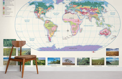 Educational World Map Mural Wallpaper in classroom